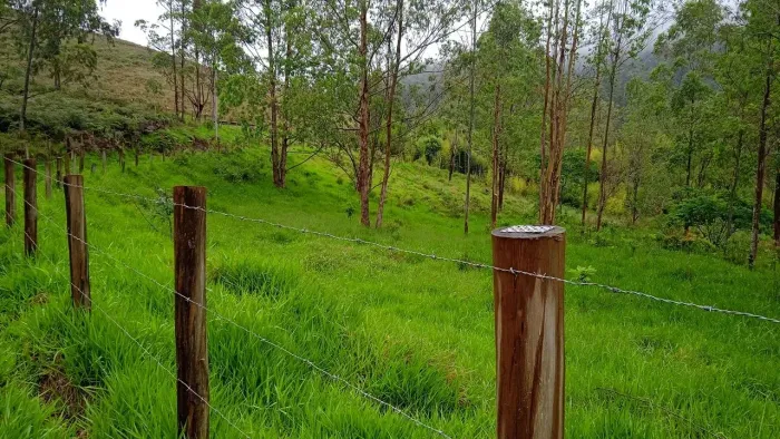 Fazenda/Sítio/Chácara para venda possui 240000 metros quadrados em Pouso Frio - Taubaté -