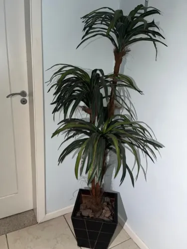 Planta Artificial Grande com Vaso Decorativo (Dracena/Palmeira)