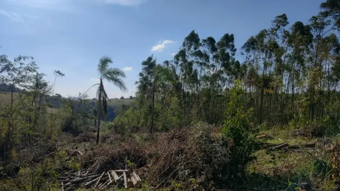 Sítio venda 57.987m² - Bairro Rio Acima - Jundiaí