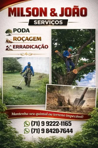 Poda de árvore 