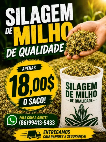 Silagem de milho 