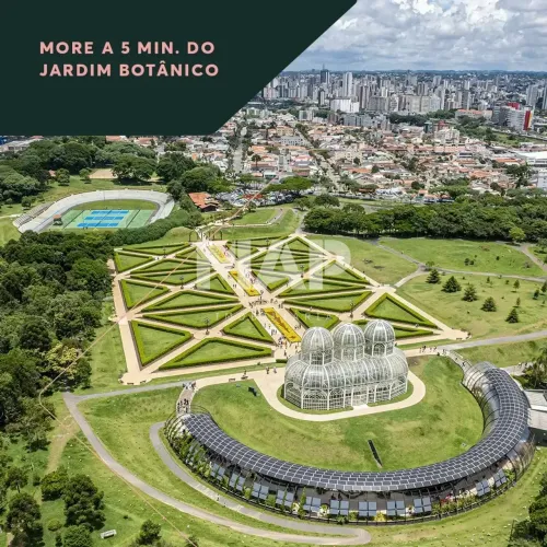 PRÉ LANÇAMENTO - CRISTO REI