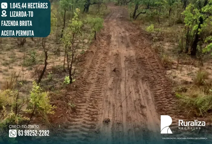 FAZENDA 1.045 HA | 575 HA AGRICULTÁVEIS | APENAS R$ 5 MILHÕES