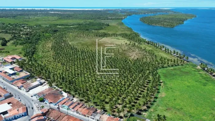 Área 100% com 28 hectares às margens do Rio São Francisco, em Piaçabuçu-AL