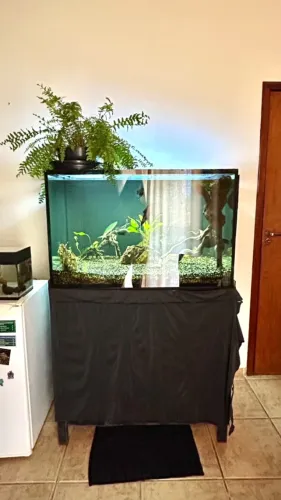 Aquário 350L com Sump Externo! Conjunto completo!