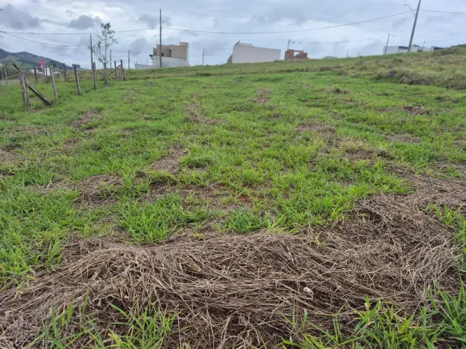 Imóvel para venda tem 300 metros quadrados em Jardim Floresta - Pouso Alegre - MG