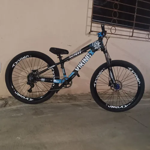 Quadro Vikingx tuff 25