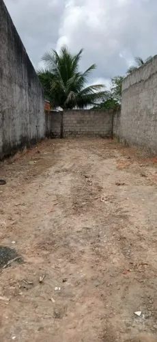LOTE NA MATA DO ROLO
