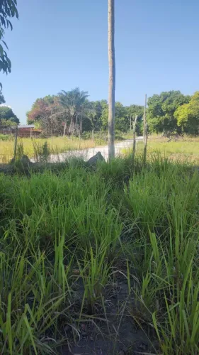 Vendo terreno