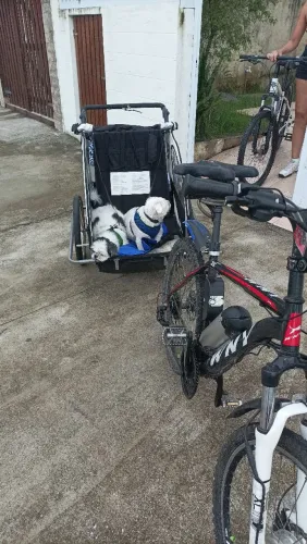 Reboque pet para bike