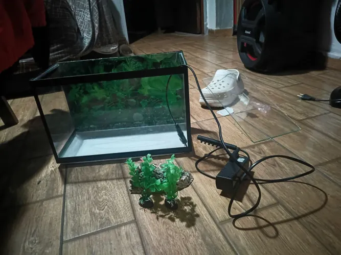 Aquário