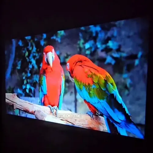 150 polegadas Cinema em casa Projetor 4k
