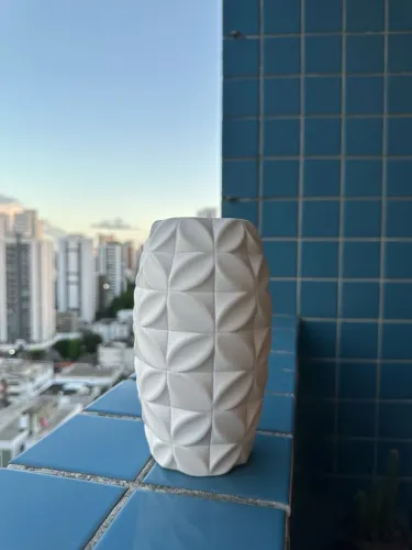 Vaso de Planta