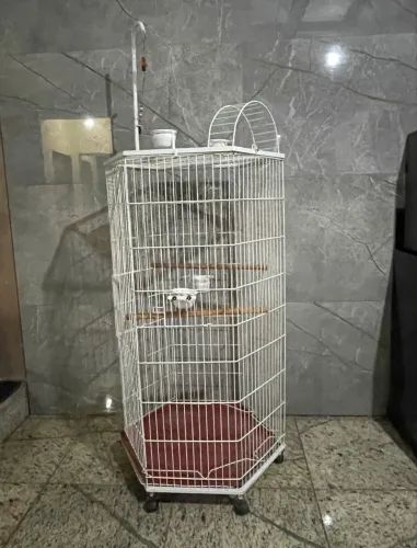 Vendo gaiola