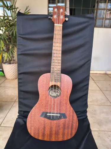 Ukulele Consert Tagima