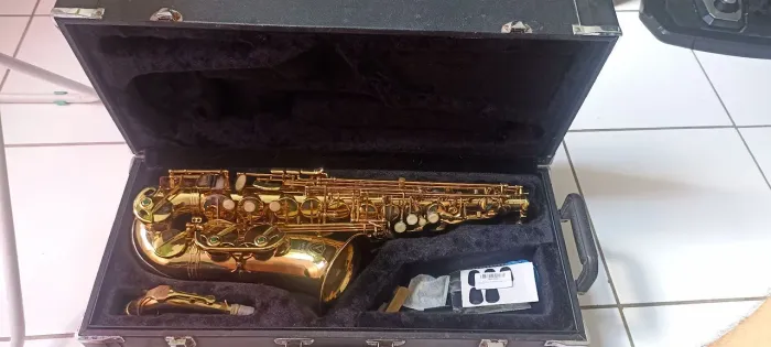 Saxofone alto Eagle sa501