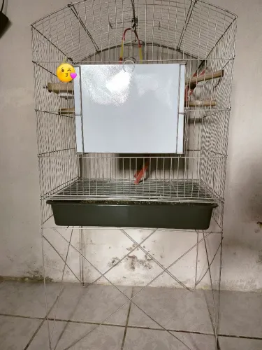Gaiola para calopsita/papagaio
