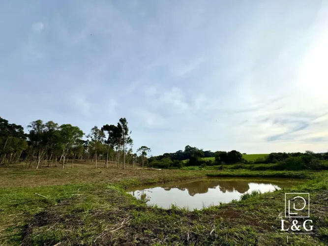 Terreno em Campo Alegre/SC.