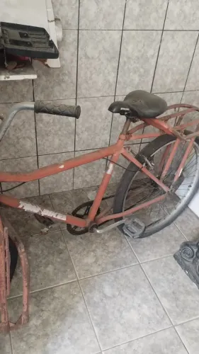 Bicicleta cargueira