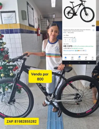 Bicicleta aro 29
