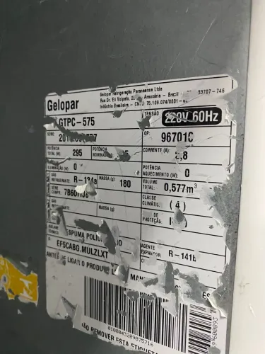 Freezer vertical