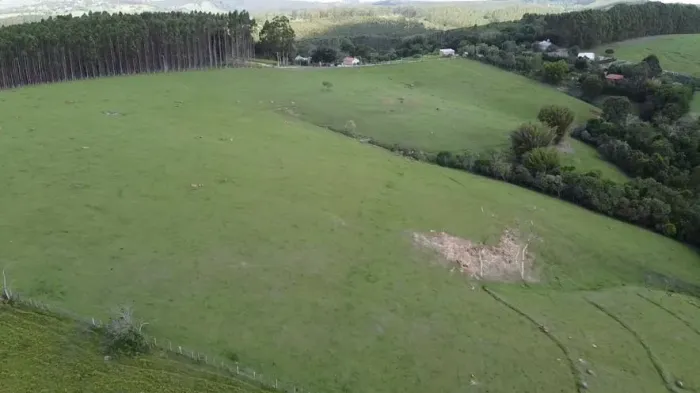 Fazenda 160 Alqueires, Rica em Água com Açudes e Ribeirão, Formada em Pasto, Topografia Ca
