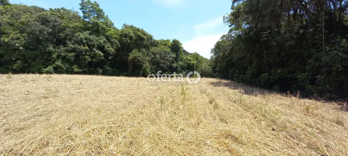 Chácara em Araucária