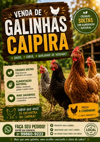 ? Galinhas Caipiras à Venda - Qualidade e Sabor da Roça!