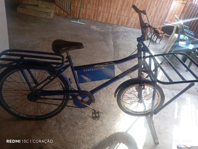 Bicicleta cargueira