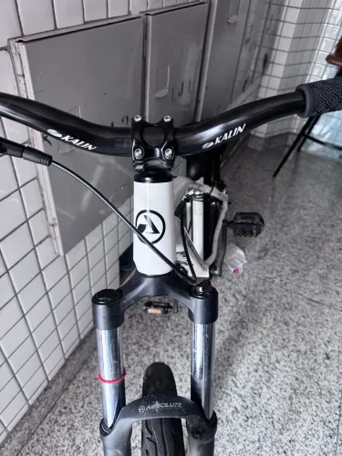 ABSOLUTE BRUTUS PRO