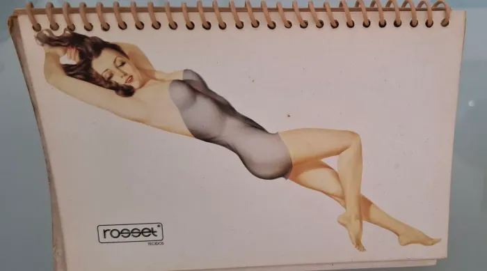 Calendário pin ups