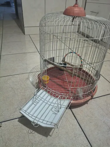 Gaiola para calopsitas