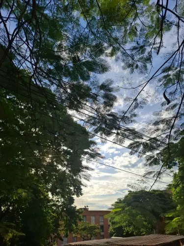 Alugo quarto na Zona 7