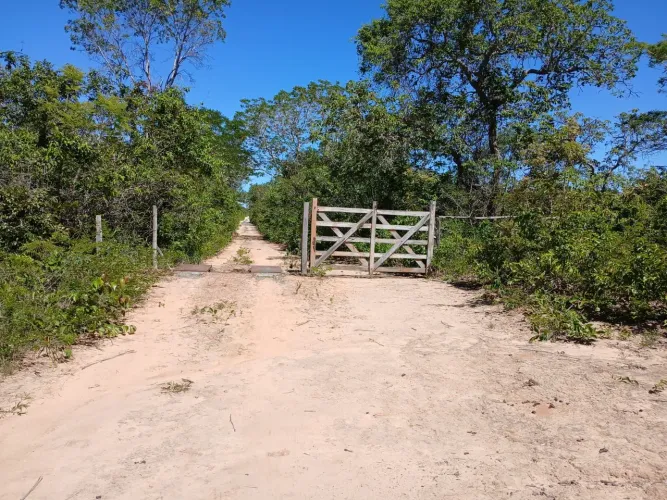 Fazenda de 800 hectares em cônego marinho-MG