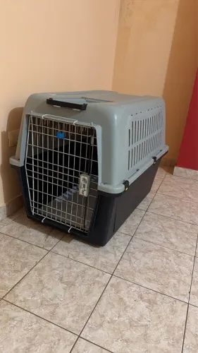 Transporte Pet (médio/Grande)