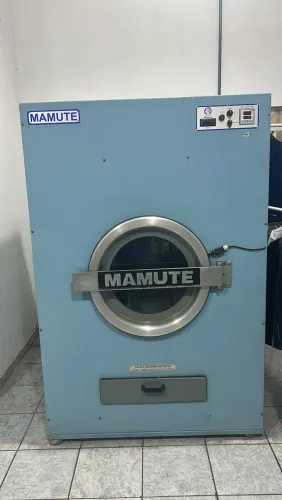 Secadora Industrial 30kg Mamute