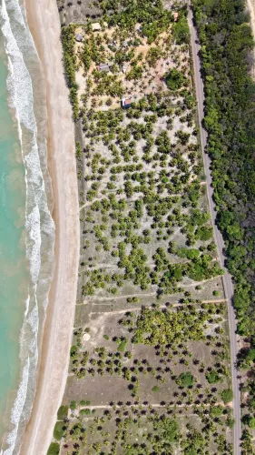 ÁREA À BEIRA MAR LOCALIZADA EM CORURIPE NO LITORAL SUL DE ALAGOAS