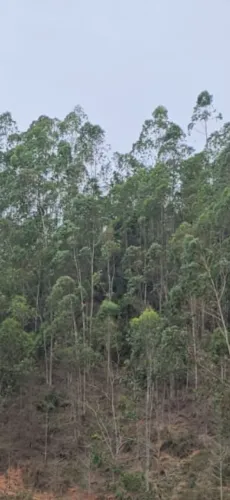Sítios à venda em Domingos Martins com vista panorâmica das montanhas, 5.000m2, troco