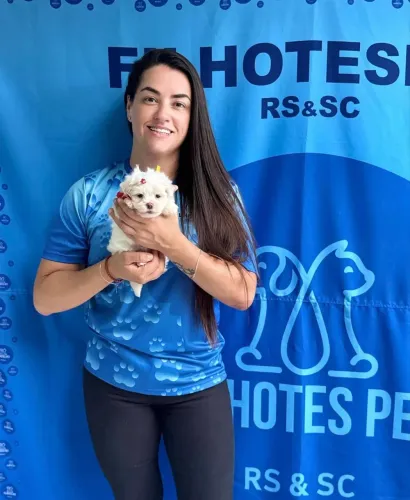 Filhote de Maltês lindo