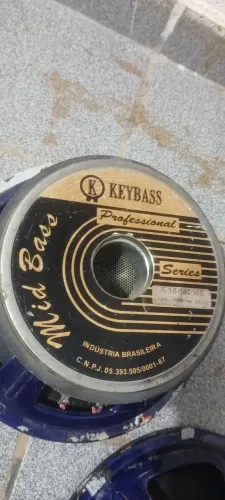 VENDO AUTOFALANTE  DE 10P KEYBASS 300 RMS POR 300,00  CADA