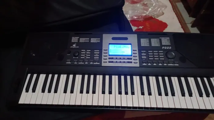 Vende-se teclado Pegasus 222