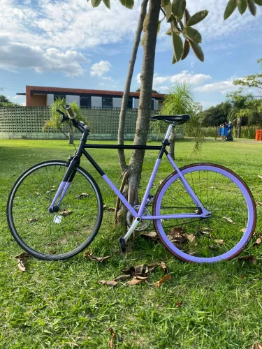 Bicicleta fixa/speed