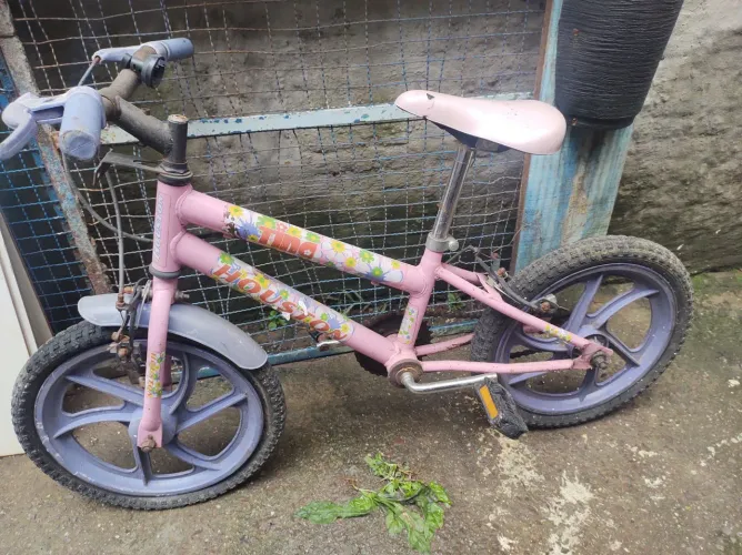 2 Bicicleta menina aro 14