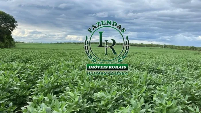 Fazenda 174 Alqueires Agricultura e Pecuária