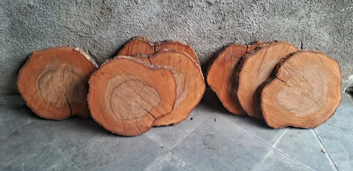 Tábuas bolachas de madeira 