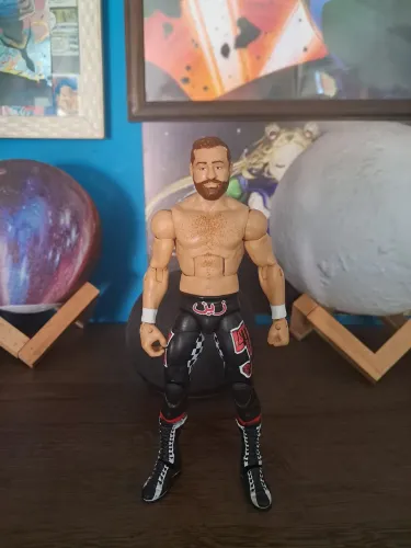 WWE Sami Zayn