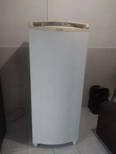 Freezer vertical consul