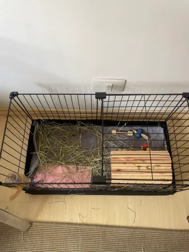 Doa-se Cercadinho para Porquinho, feno, vitamina C