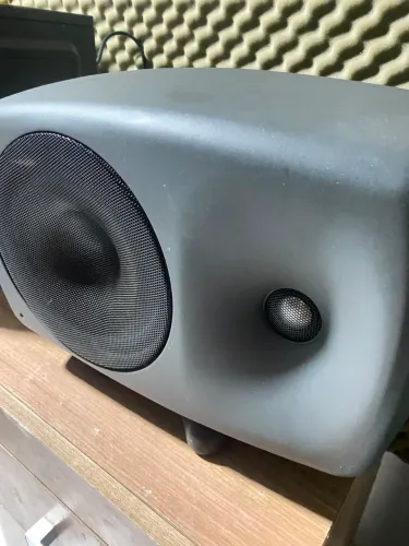 PAR MONITOR GENELEC 8250