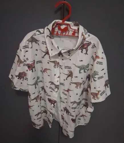 Camisa infantil dinossauros 